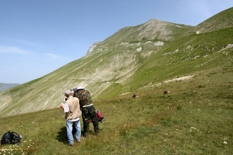 in alta quota nei miei Sibillini
